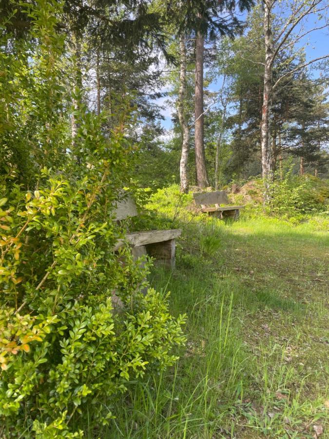 Haus Am Berg - Waldviertel Βίλα Arbesbach Εξωτερικό φωτογραφία